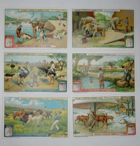 Liebig Trade Cards: "The Breeding of Useful Animals" - Set of 6 - Belgium/French - Picture 1 of 2