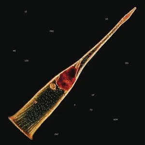 Leprous - Melodies of Atonement (InsideOut) Transparent Red 2LP Vinyl 12" Album - Picture 1 of 1