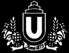 Dortmunder Union Brauerei AG Dortmund histor. Bier Aktie 1941 Brau und Brunnen