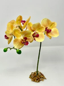 10-14" Peach Orange PHALAENOPSIS ORCHID Soft Silk flower aquarium plant, Stone b - Picture 1 of 6