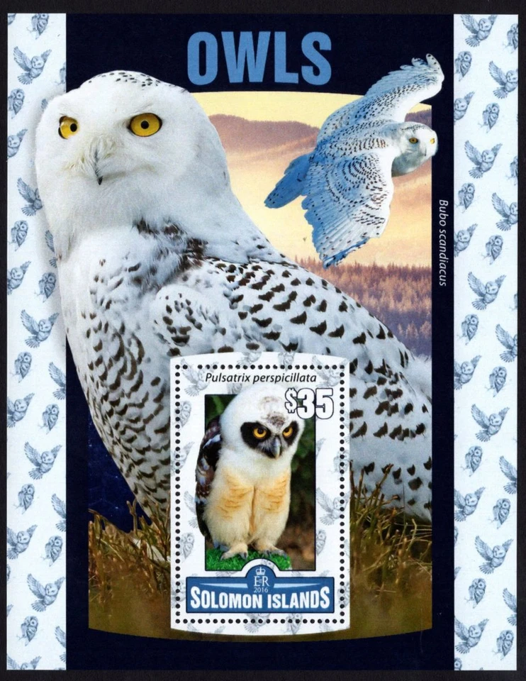 SOLOMON ISLANDS - 2016 'OWLS' Miniature Sheet $35 MNH [E1410] - Image 1 of 1
