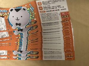 One Piece Academy Volume 10 Application Ticket 17 - Picture 1 of 1
