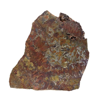 Moroccan Agate, slab, cabbing rough, lapidary, #R-6657 - Image 1 of 4