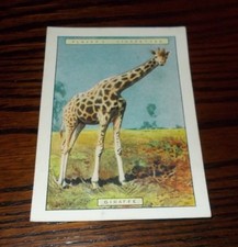 DOGS 1924 & NATURAL HISTORY 2ND SERIES PLAYERS CIGARETTE CARDS XL - SELECT CARD