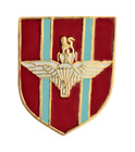 British Army Parachute Regiment Pin Badge - MOD Approved