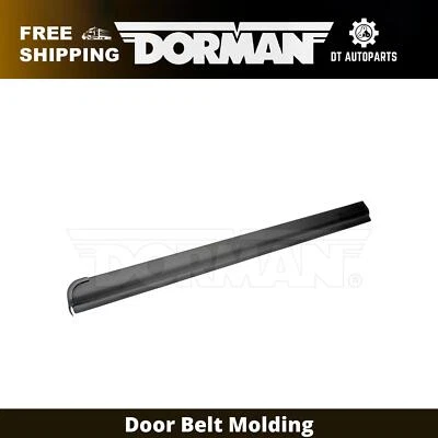 Moldura de cinturón de puerta exterior izquierdo Ford Ranger Dorman 1999-2011 2000 2001 2002 Foto 1 de 4