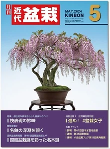 Japanese Bonsai Magazine KINBON 2024.5 Kindai Bonsai - Picture 1 of 1