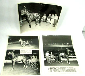 1960s Horse Harness Racing Press 8X10 Photo Lot 3 Trotters Paul Battis TITANITE - Picture 1 of 7