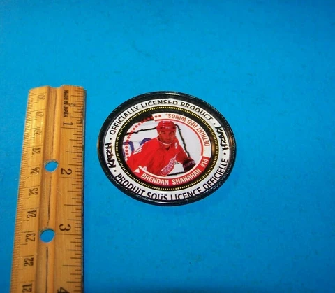 NHL Hockey Collectible Medallion Detroit Red Wings Brendan Shanahan   Katch Cover