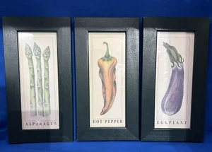 Pier 1 framed Veggie Prints set of 3 kitchen art wall art Karen Francis Gray - Picture 1 of 6