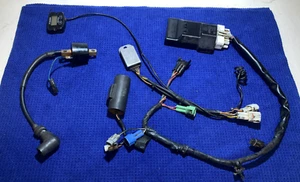 1999 96-00 RM250 RM 250 ECU CDI Igniter Wire Harness Ignition Coil Electrical 99 - Bild 1 von 14