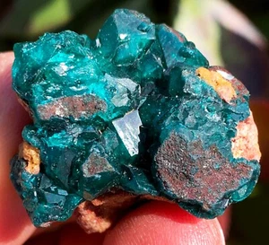 ¡Boutique de 106 quilates! Dioptasa natural verde esmeralda cobre gema espécimen Congo ip1858 - Imagen 1 de 15