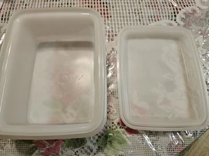 Vintage Tupperware Eisbehälter Freeze N Save / Frosted, Top Zustand - Bild 1 von 4