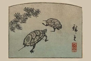Schildkröten (Kame) Utagawa Hiroshige Poster Druck - Bild 1 von 2