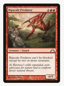 Ripscale Predator #103 Gatecrash Magic Card With Protective Sleeve - Picture 1 of 3