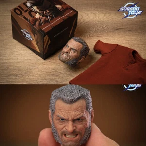 SOOSOOTOYS Wolverine Logan 1:6 Head Carving Model Figure Accessory SSH-003