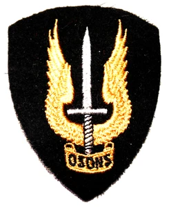 AEROTRANSPORTADO Para Paracaidista CANADÁ Fuerzas Armadas OSONS Elite hombro flash insignia 2 - Imagen 1 de 1