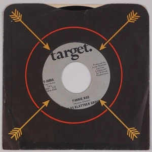 JULES BLATTNER GROUP: Fannie Mae US Target Garage Blues Rock R&B 45 Rare HEAR - Picture 1 of 2