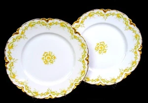 Haviland Limoges Ranson Schleiger 269-B Floral 2Pc 9 5/8" Dinner Plates 1894- - Picture 1 of 8
