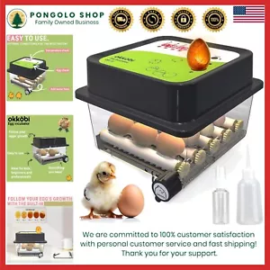 Robuster automatischer Eierinkubator für 12 Eier - schlüpft Hühner, Enten & mehr - Bild 1 von 10