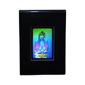 3D Holo Babe Estereograma 3D Holograma Imagen SOPORTE DE ESCRITORIO, Tipo Grabado Película - Imagen 1 de 7