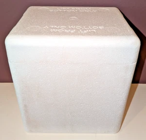 NEW THERMOSAFE Insulated Shipper Container Styrofoam COOLER 8X6X9 inside NO BOX - Picture 1 of 3