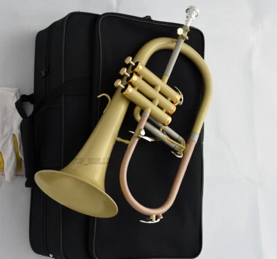 Professional Satin finish Bb Flugelhorn NEW FLUGEL Horn With Case - Image 1 of 4