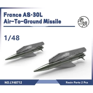Ricambi aggiornamento modellismo LY48712 1/48 France AS·30L missile aria-terra - Foto 1 di 1