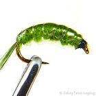 1 Dozen (12) Scud Olive - fishing fly, nymph, trout fly