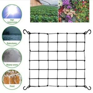 Garden Elastic Scrog Trellis Net Hooks Plant Support Netting for Grow Tent - Picture 1 of 13