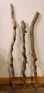 BEAUTIFUL!! Set of 3 FRESH Cut Vine Twisted Stick with Bark~ Read Description - Picture 1 of 3