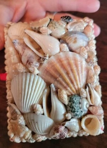 Handmade Sea Shell Encrusted Intricate  Ocean Keepsake Box Vintage Collectible - Picture 1 of 16