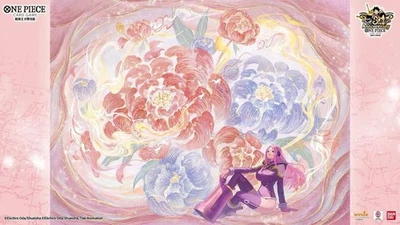 One Piece Card Game Chinese TCG Exclusive 3rd Anniversary Gift Box Sealed - Image 1 of 4