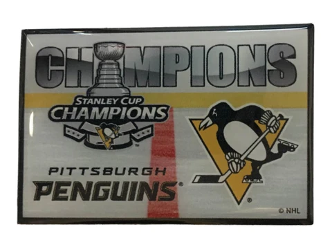 Pittsburgh Penguins 2017 Stanley Cup Champions Aminco Refrigerator Magnet Cover