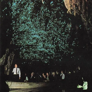 Waitomo Höhlen Neuseeland NZL Glühwürmchen Wasser Maori Ephemera Postkarte - Bild 1 von 3