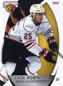2018/19 Owen Sound Attack - CADE ROBINSON - Picture 1 of 2