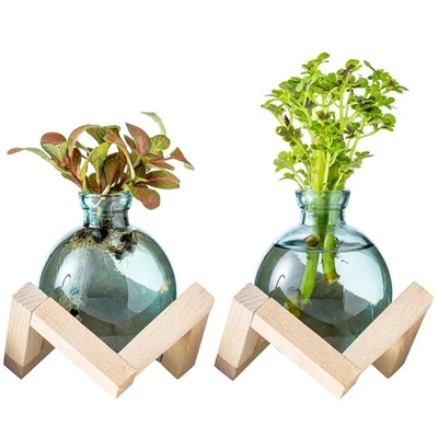 Estación de Propagación de Plantas, Terrario de Plantas con Soporte de Madera para P... Foto 1 de 4