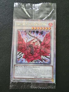 Black Rose Dragon - TN23-EN014 - Quarter Century Secret Rare - 25th Anniversary - Picture 1 of 2