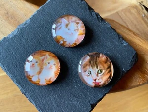 Dekorative Katzen Magnete 3 Stück NEU Geschenkidee Katzenliebhaber (Nr. 2) - Bild 1 von 3