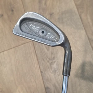 Ping Eye 2 Black Dot Single 1 Iron RH True Temper Dynamic Steel Shaft 40" - Picture 1 of 6