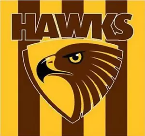 Hawthorn Hawks Official AFL Party Paper Serviettes Napkins 16 pack Licensed - Picture 1 of 1