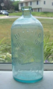 NICE AQUA MINERAL WATER EMBOSSED, BUFFALO LITHIA WATER NATURES MATERIA MEDICA - Picture 1 of 1