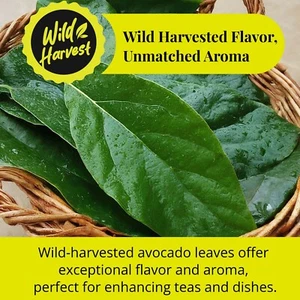 Hojas de aguacate secas de 2,6 OZ, hojas de aguacate, té de hojas sueltas de hierbas - Imagen 1 de 12