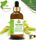 Pure Herbs Cananga 100% Pure & Natural Cananga odorata Essential Oil