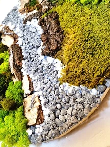 Moosbild Leinwandbild Felsentraum Moosbild Moos - Bild 1 von 8