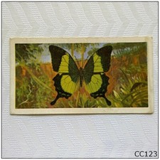 Brooke Bond Butterflies Of The World #15 Papilio buddha Tea Card (B) (CC123)