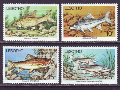 Lesotho 1977 SC 237-240 MNH Set Fish - Image 1 of 2