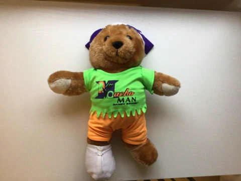 Vintage WWF Wrestling Randy Macho Man Savage Plush Teddy Bear. WCW Titan Sports Cover