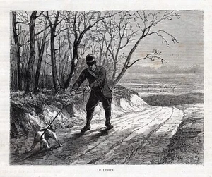 Perro Beagle Bloodtracking Caza Perro Rastreador Perro, Coonhound 1880s Estampado Antiguo - Imagen 1 de 3
