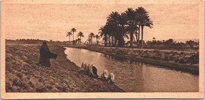 Postal antigua de Egipto un paisaje cerca de El Cairo B121 - Imagen 1 de 2